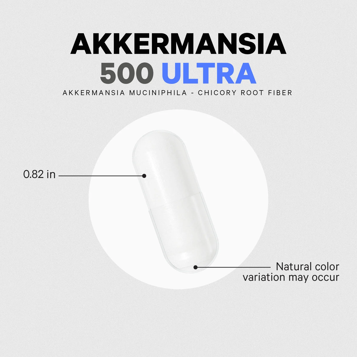 Akkermansia 500 Ultra Probiotic & Prebiotic - Image 4
