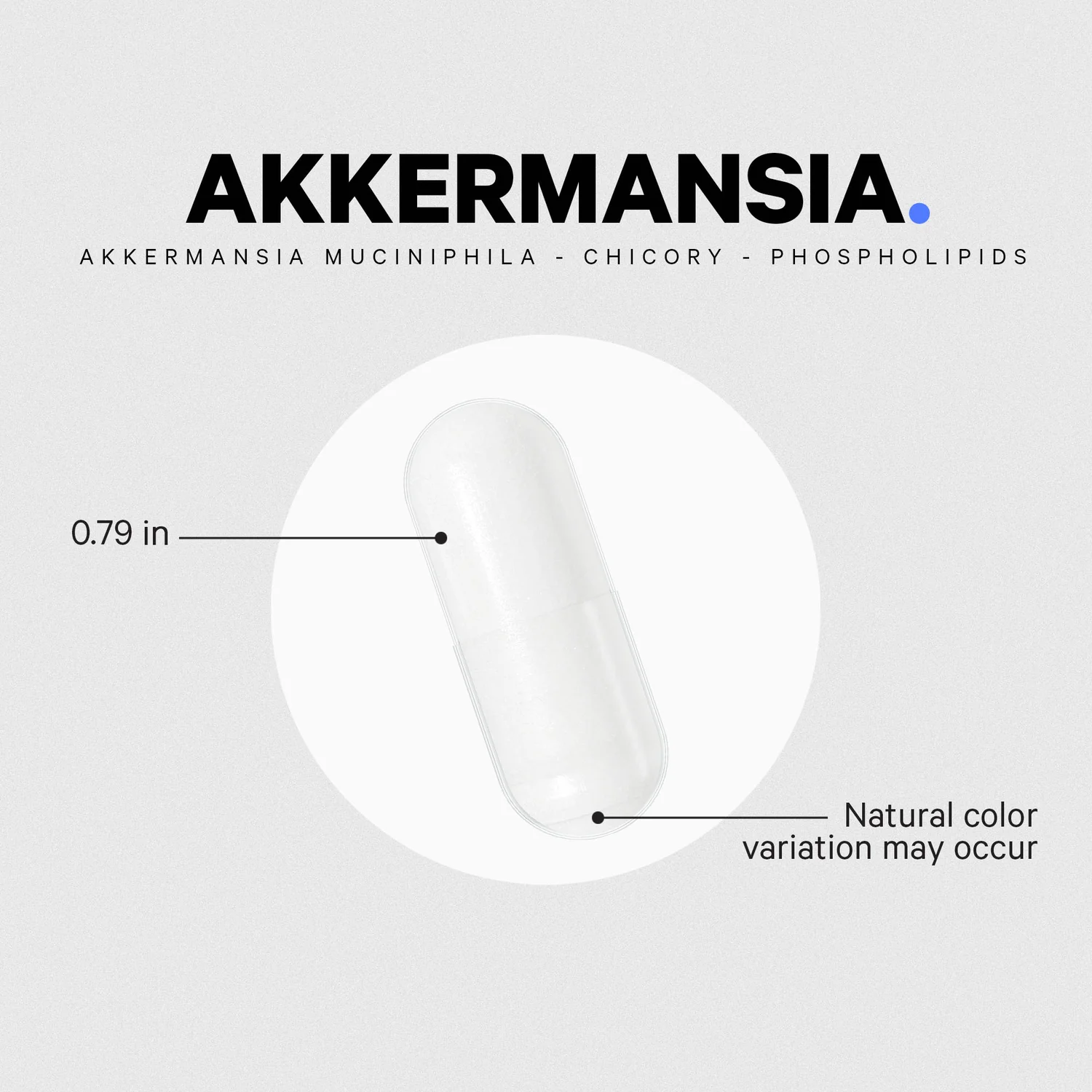 Akkermansia Probiotic & Prebiotic - Image 4