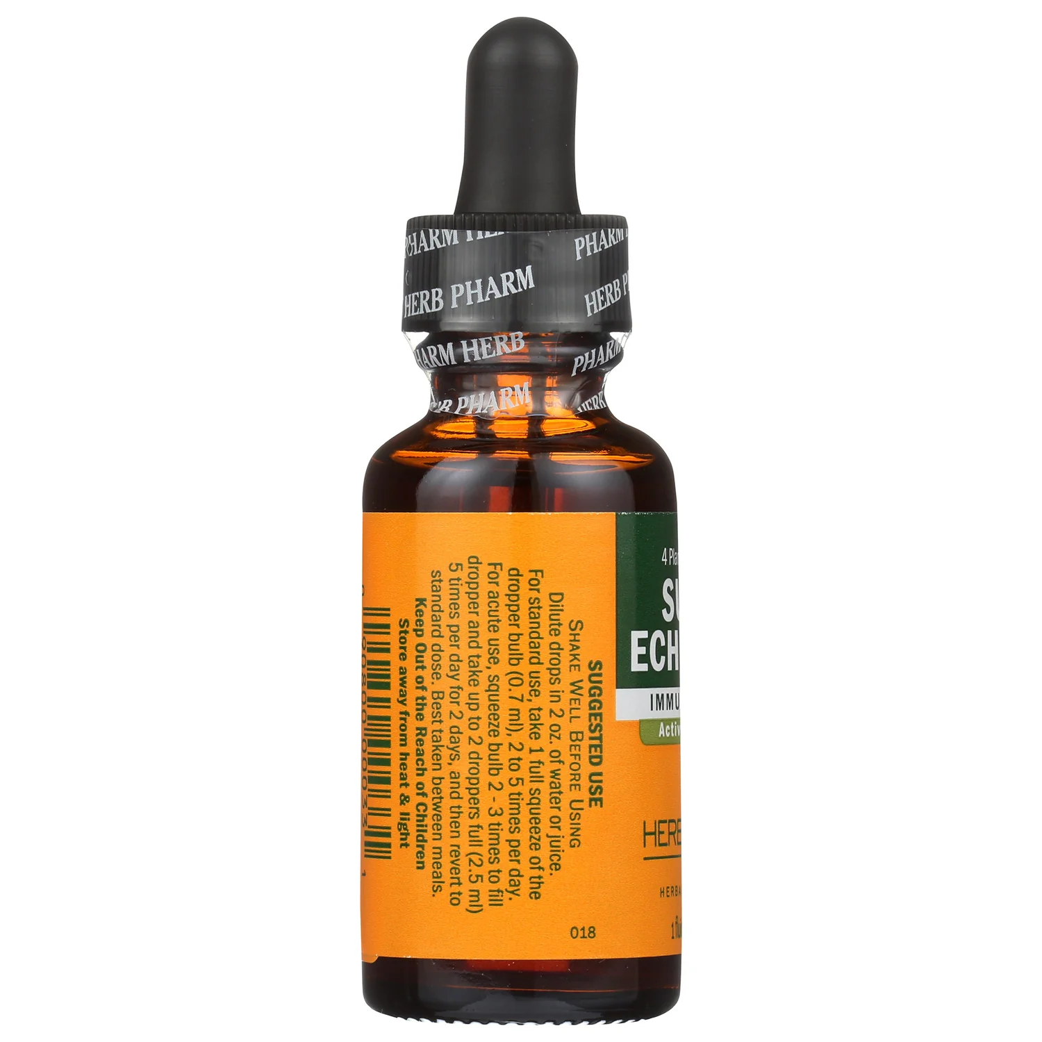 Super Echinacea - Image 4