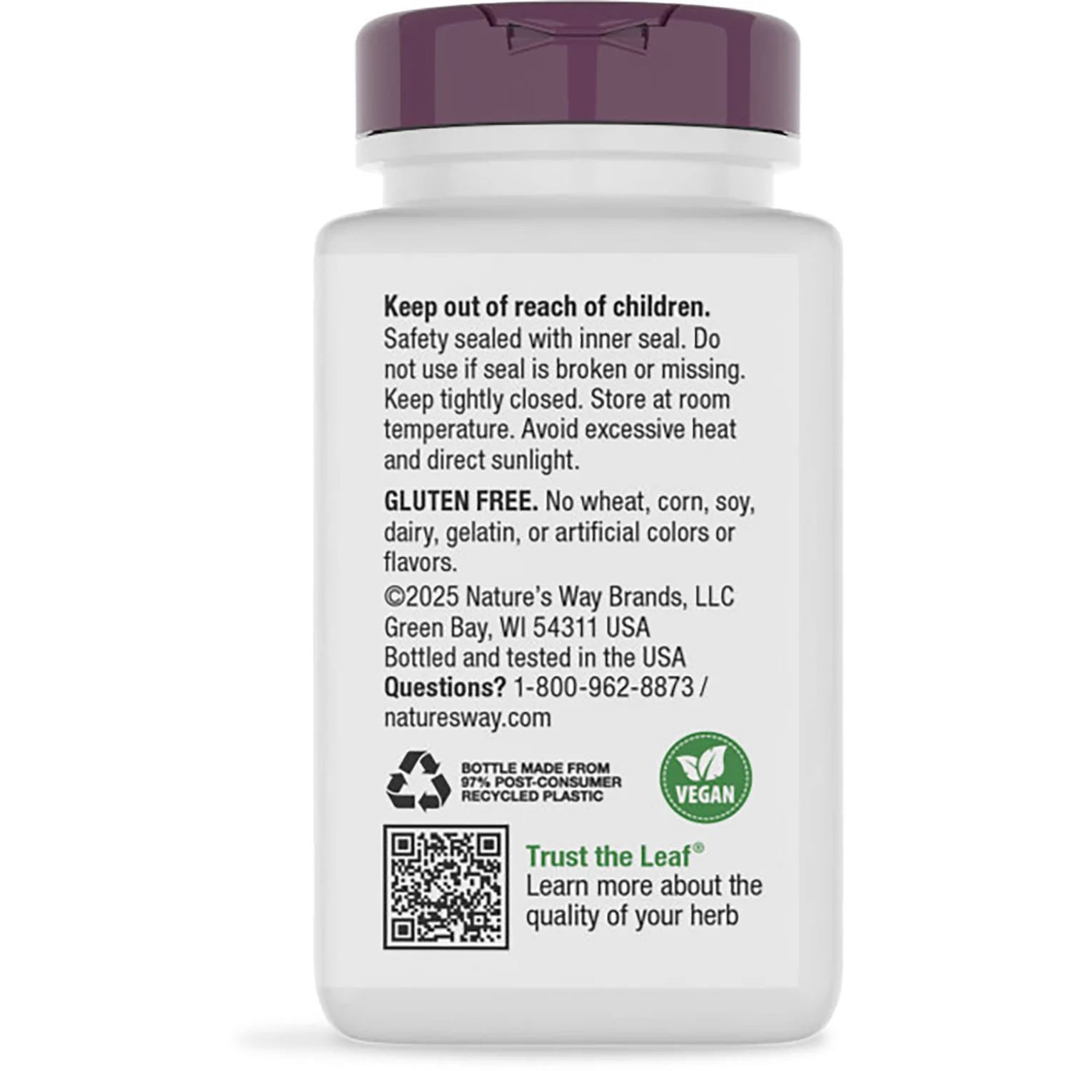 Grape Seed - Image 3