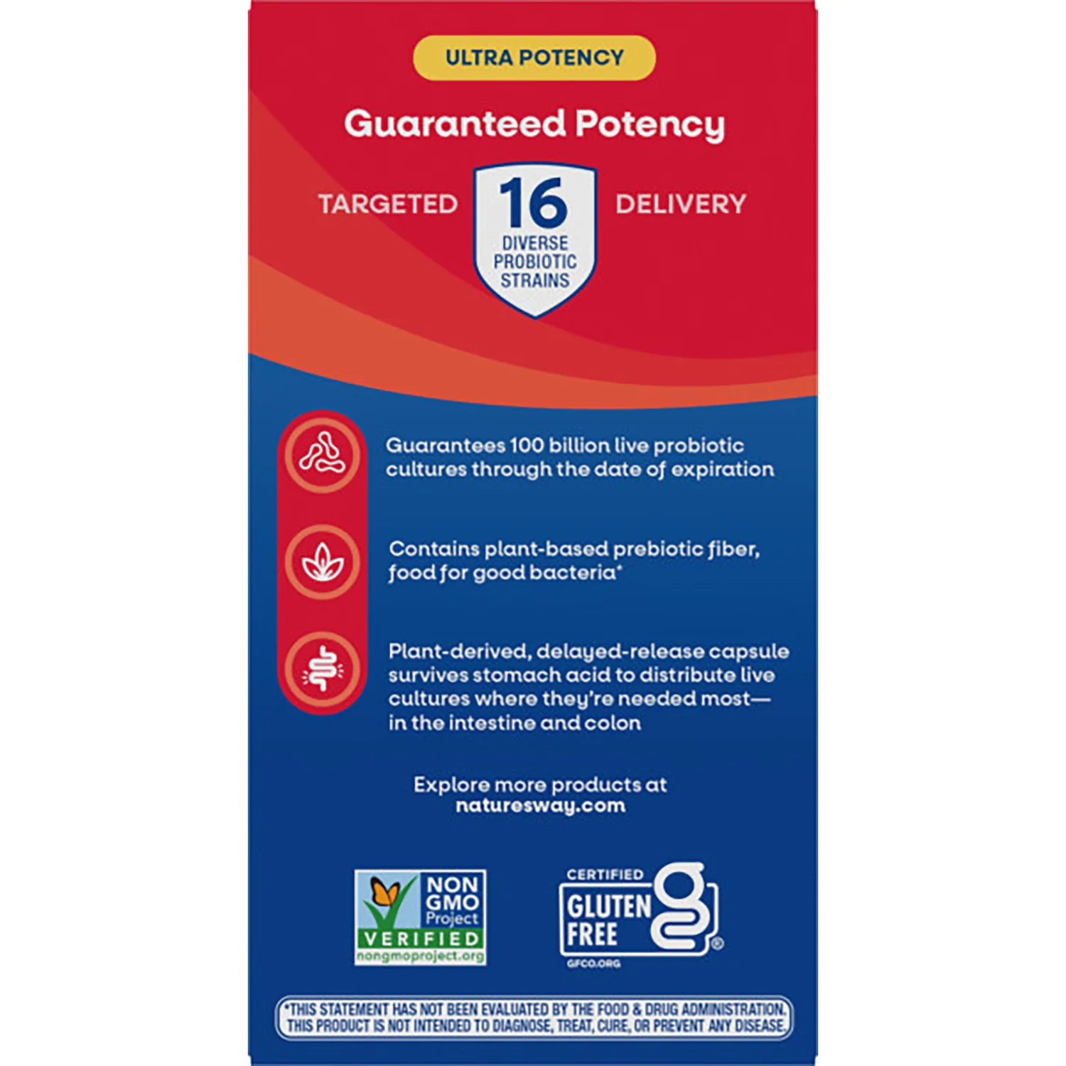 Fortifiy Optima Ultra Potency Pre + Probiotic - Image 3