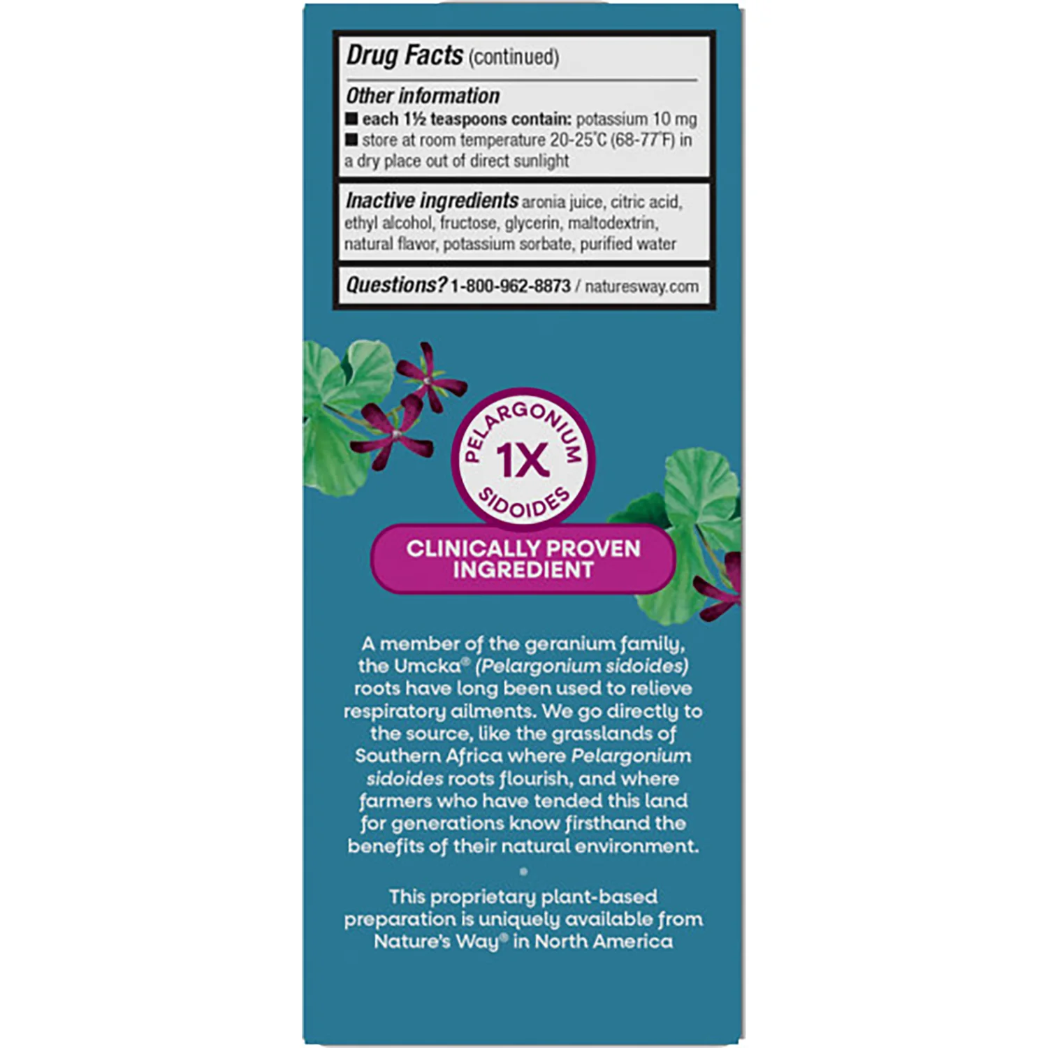 Umcka Cold Relief Syrup - Cherry - Image 3