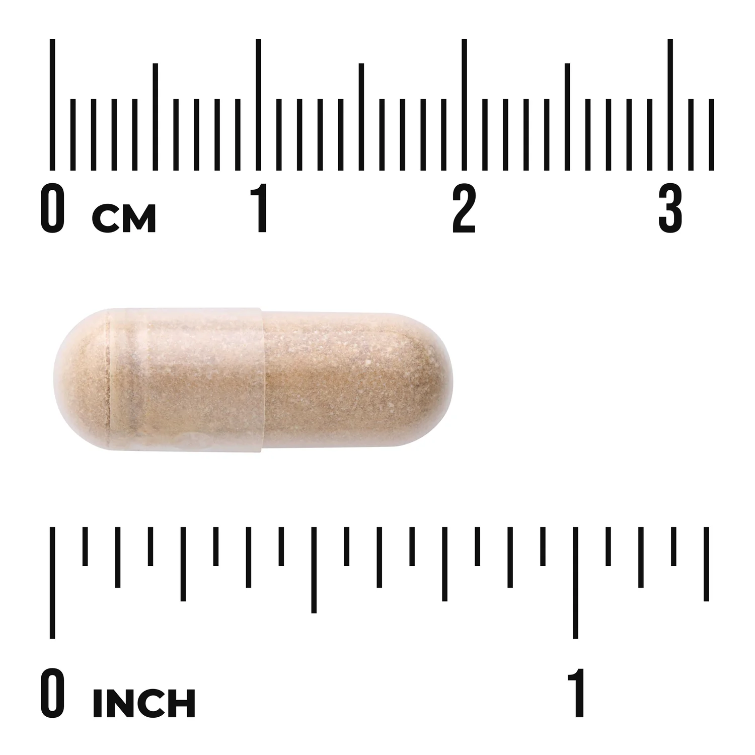 Ovarian Glandular - Image 3