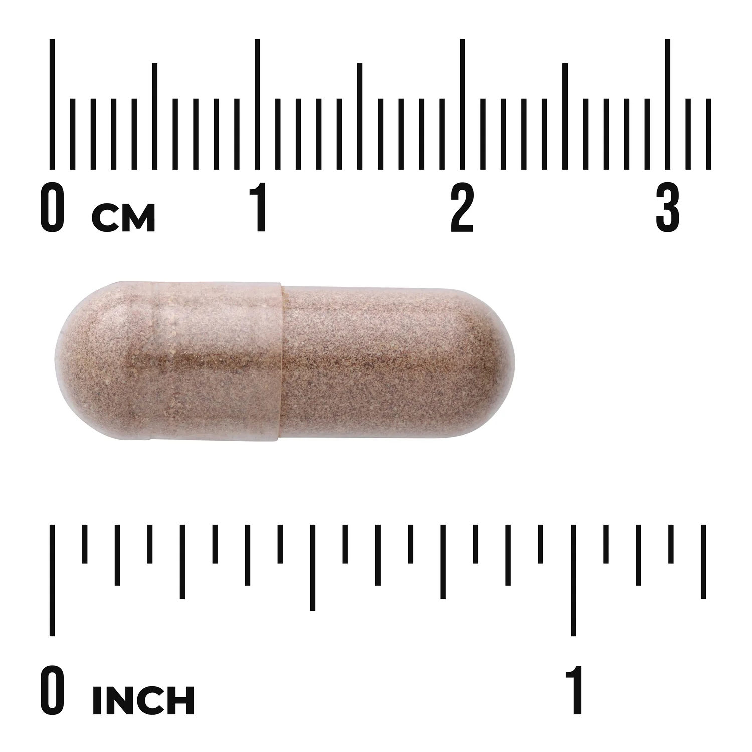 Full Spectrum Saw Palmetto - Image 5